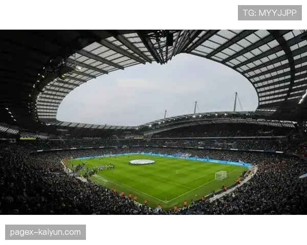 报告:英超俱乐部在可持续球场运营方面的投入同比增长30% 报告:英超俱乐部在可持续球场运营方面的投入同比增长30%